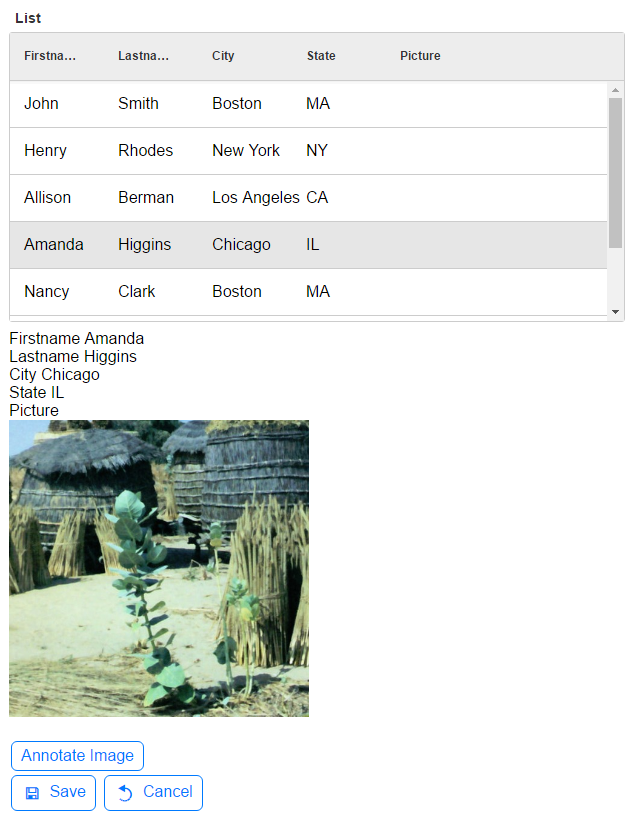 A form view with working image capture